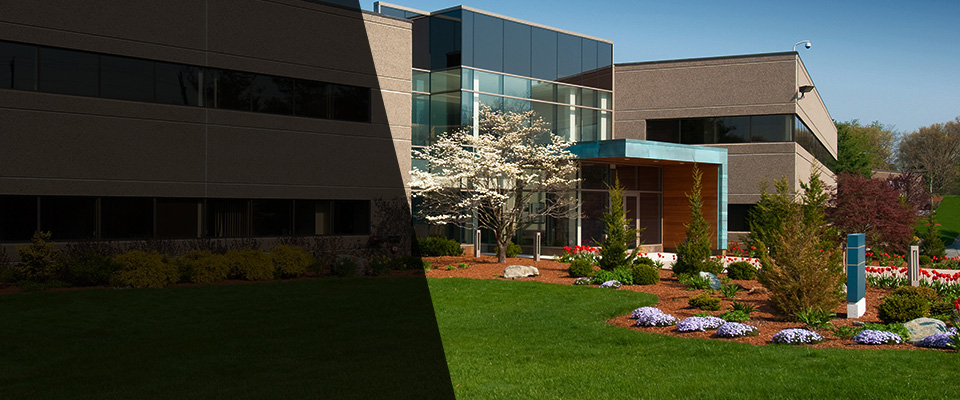 Clintwood Landscapers