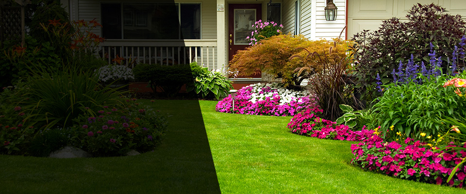 Clintwood Landscapers