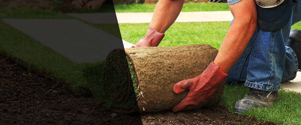 Clintwood Landscapers